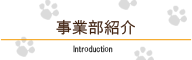 株式会社トーエートレーディングの事業部紹介