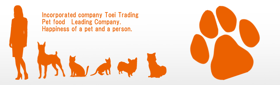 メインイメージ